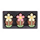 Little Daisy - Marguerites - Fleurs en chocolat